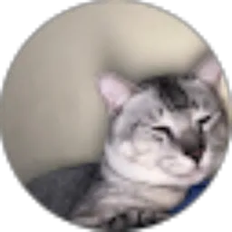 Review From Monica Putri Virsa Lubis