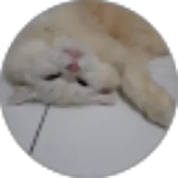 Review From Weda Awanda