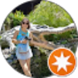 Review From Lixiang Tan