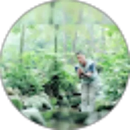 Review From Faisal Amri Muhtar