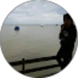 Review From Erwin Ramadhani Pratama Putra