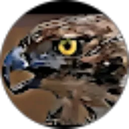 Review From kadek indraputra