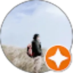 Review From Bobby Surya