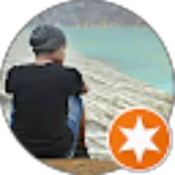 Review From Aryef Widodo