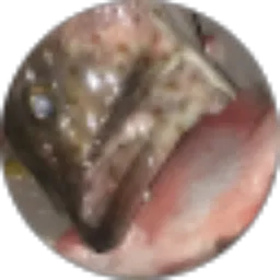 Review From KATULUNGAN FISIHING CLUB KFC