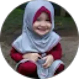 Review From Dani Hamdan kamilul iman