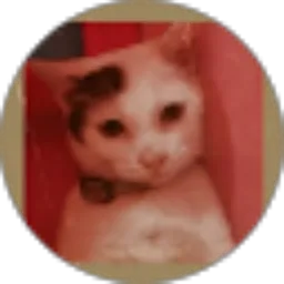 Review From Nasywa Atyah Z