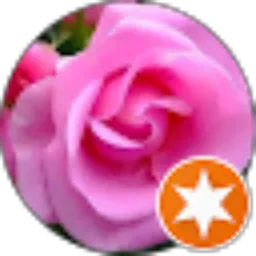 Review From Indarti Dian