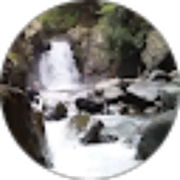 Review From Lidwina Enggar