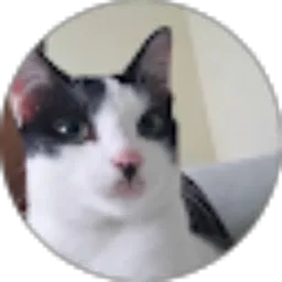 Review From Wisnu Lia Pramuka