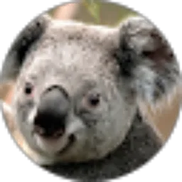 Review From GUS PRAST