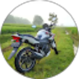 Review From Muhammad Ravi