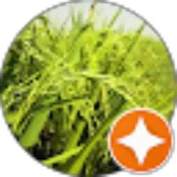 Review From Makmur Aceh