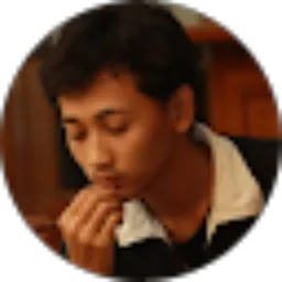 Review From ludvi winarko