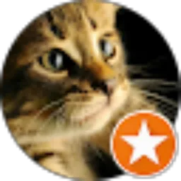 Review From Lukman Hakim