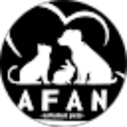 Review From Rafana Store