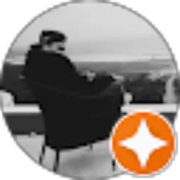 Review From Ariz Arya