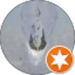 Review From Dusa Okami