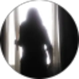 Review From PPS Bukateja