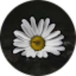 Review From dea astrid