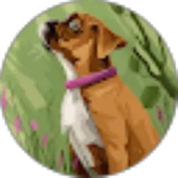 Review From Herman Rusli