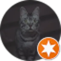 Review From Reza Rizqullah