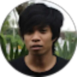 Review From Helmi Soesanto