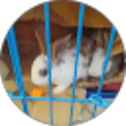 Review From hyle gara