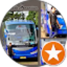 Review From yonas global