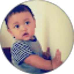 Review From agristro satria