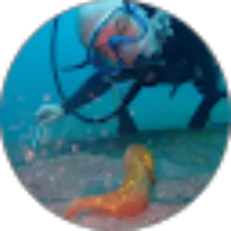 Review From Michael H.