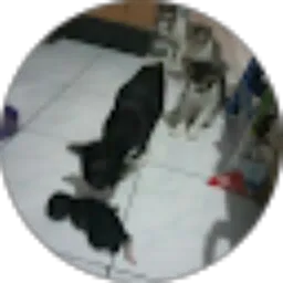 Review From Annisa Mulya