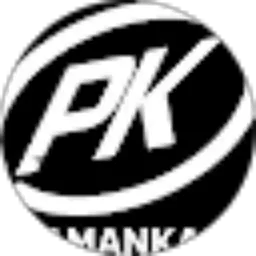 Review From PAMAN KAM