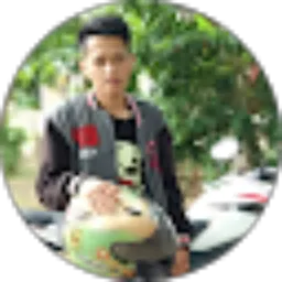 Review From Sudik Dikno