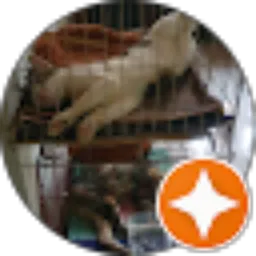 Review From Nofi Rahmisari