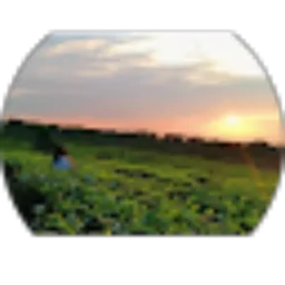 Review From marianurwati sari