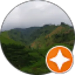 Review From Bintang Tommy Rizaldy