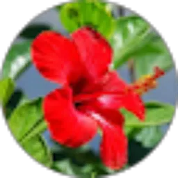 Review From dhika hendryawan