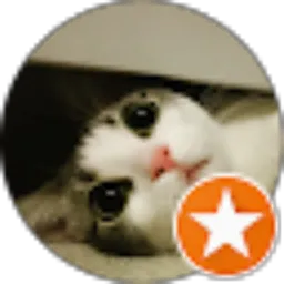 Review From Andy Saputra