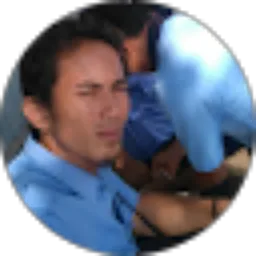 Review From Agustiawan Agus