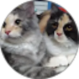 Review From siska oktafiani