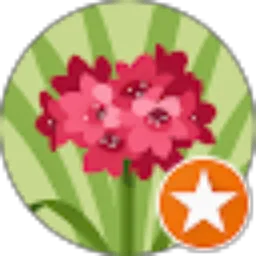 Review From saniva vaa