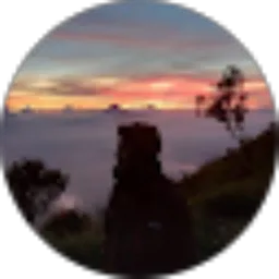 Review From Firman Ali Ridho