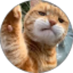 Review From Rifani Aulia