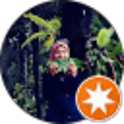 Review From Vee Novietri