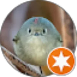 Review From rahmad wibowo