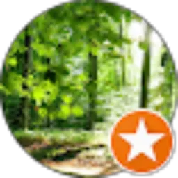 Review From Alex Chandra