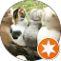 Review From masyitoh