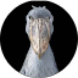 Review From Handi Janto