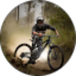 Review From Wahyu Purnama